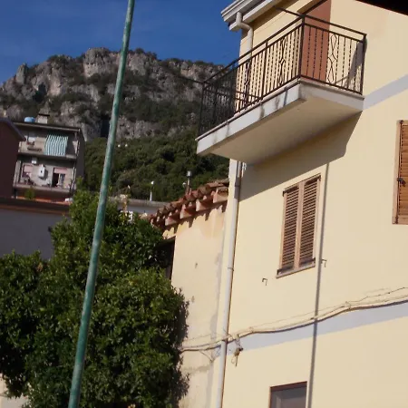 L'edera *